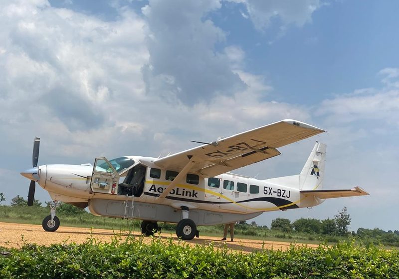 6 Days Uganda Fly-in Gorillas, Chimps Trekking, Wildlife Adventure Exclusive - Gorilla Bookings